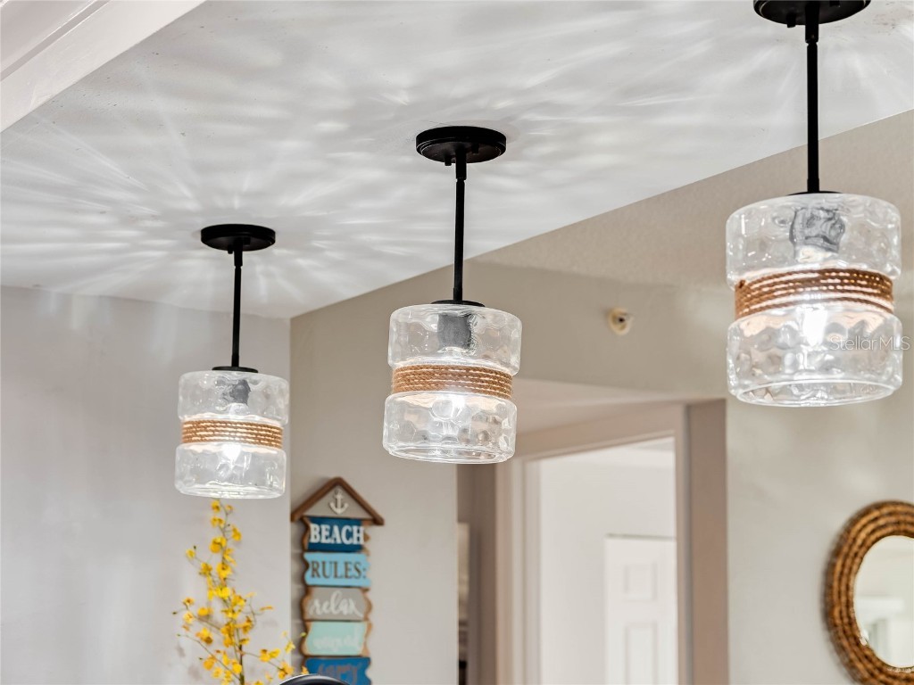 2967 S Atlantic Avenue #801 Daytona Beach Shores FL 32118 NS1083766 image8