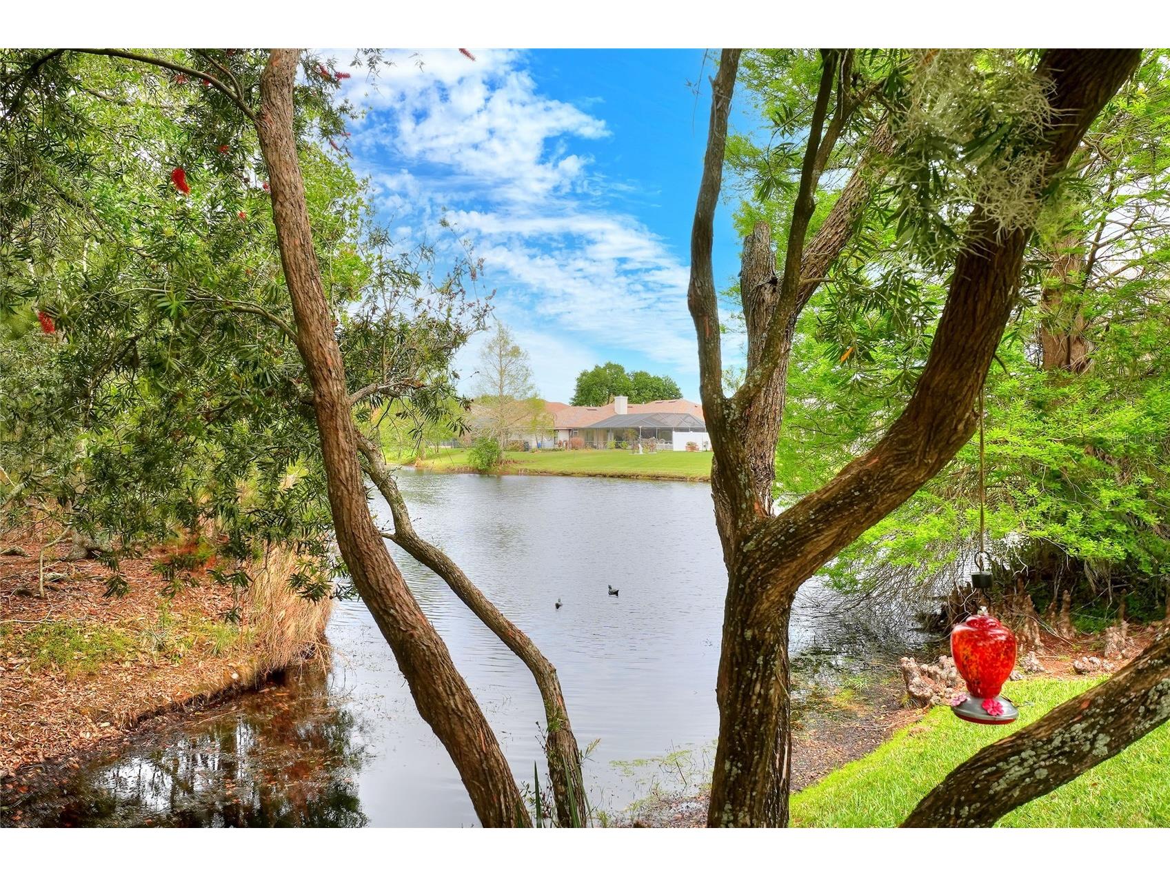 2968 Plantation Road Winter Haven FL 33884 P4938120 image65