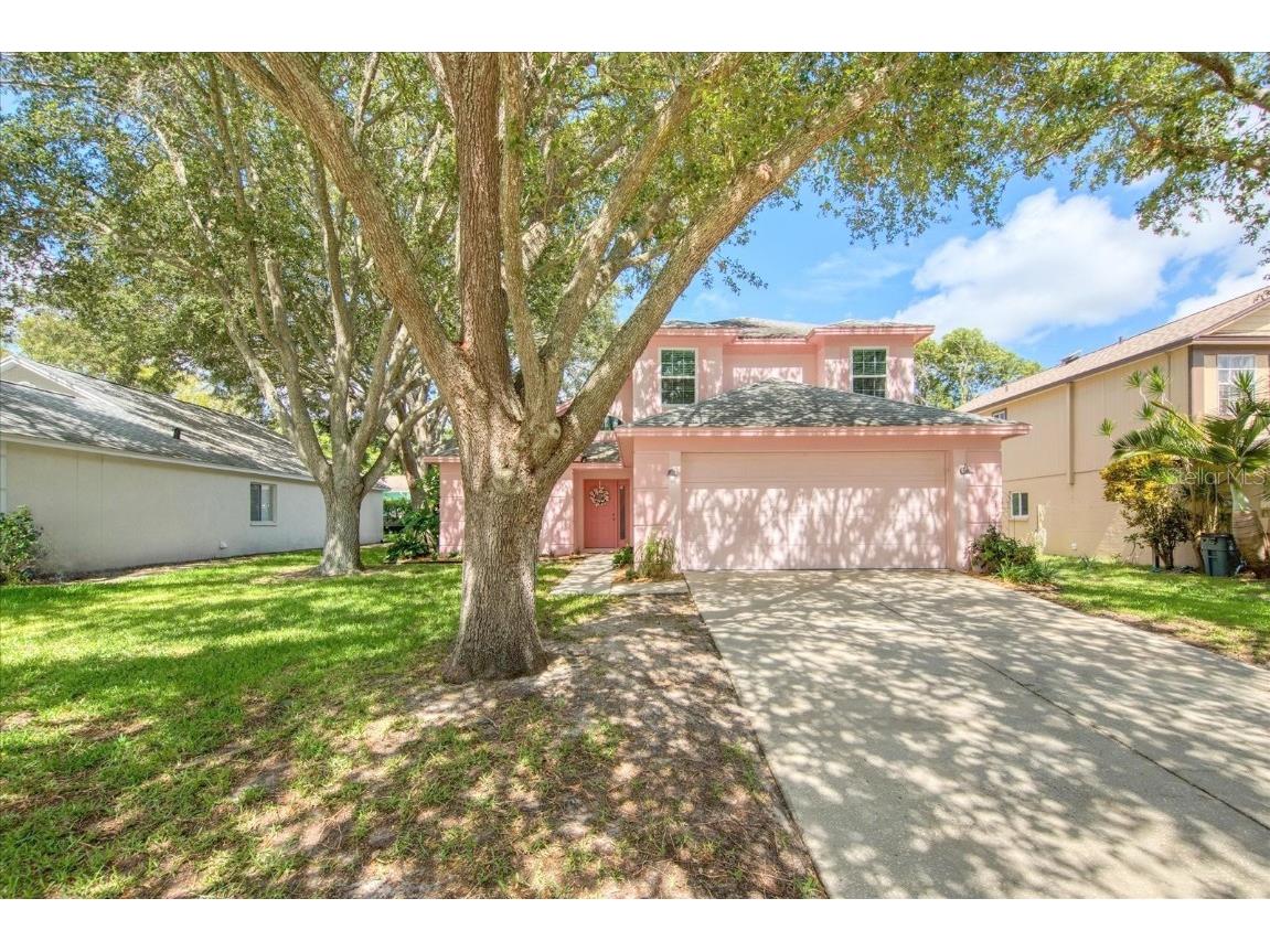 2968 Shannon Circle Palm Harbor FL 34684 U8246991 image1