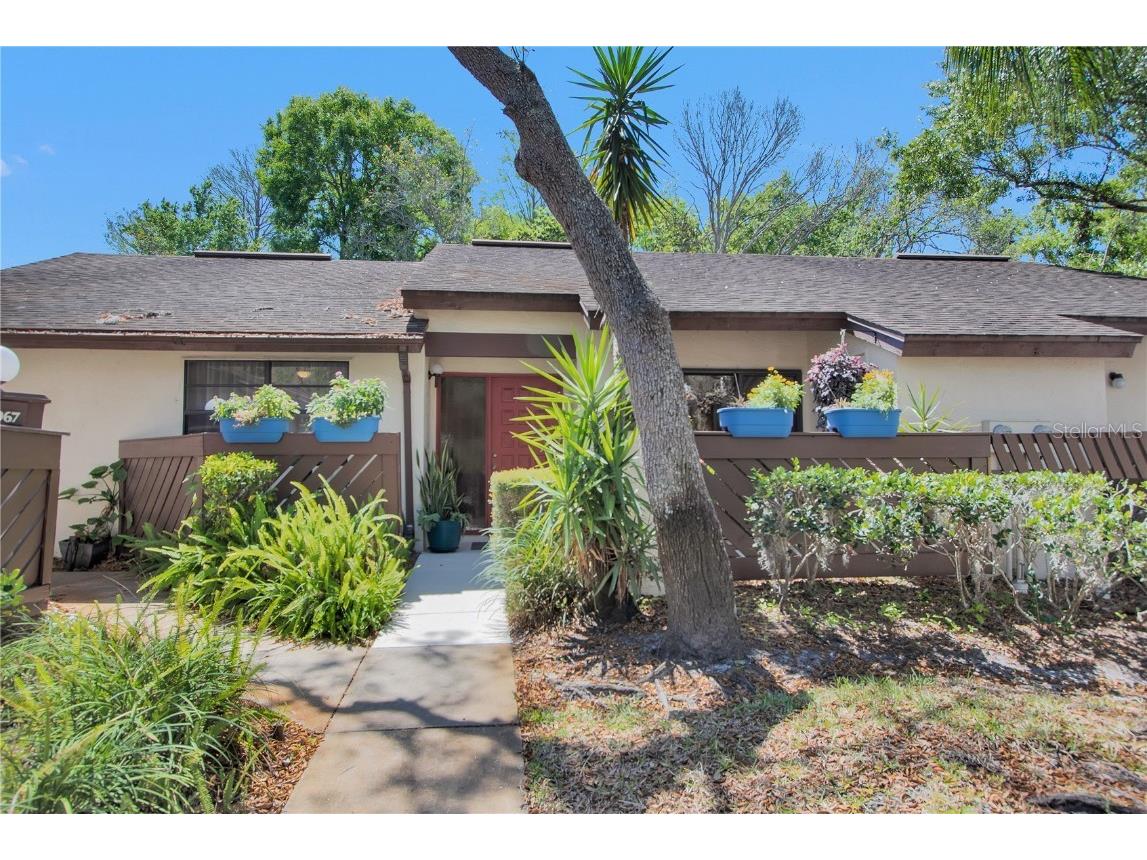 2969 Buttonbush Court Palm Harbor FL 34684 T3435270 image1