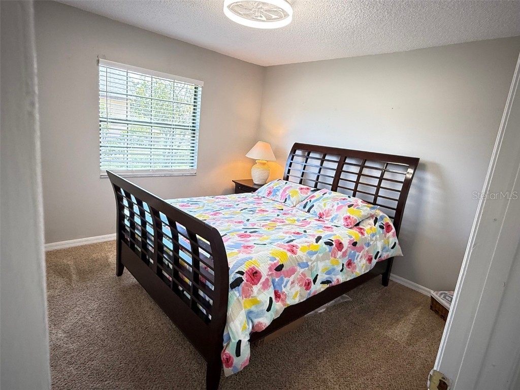 2969 Carrot Wood Court Kissimmee FL 34746 S5132486 image16