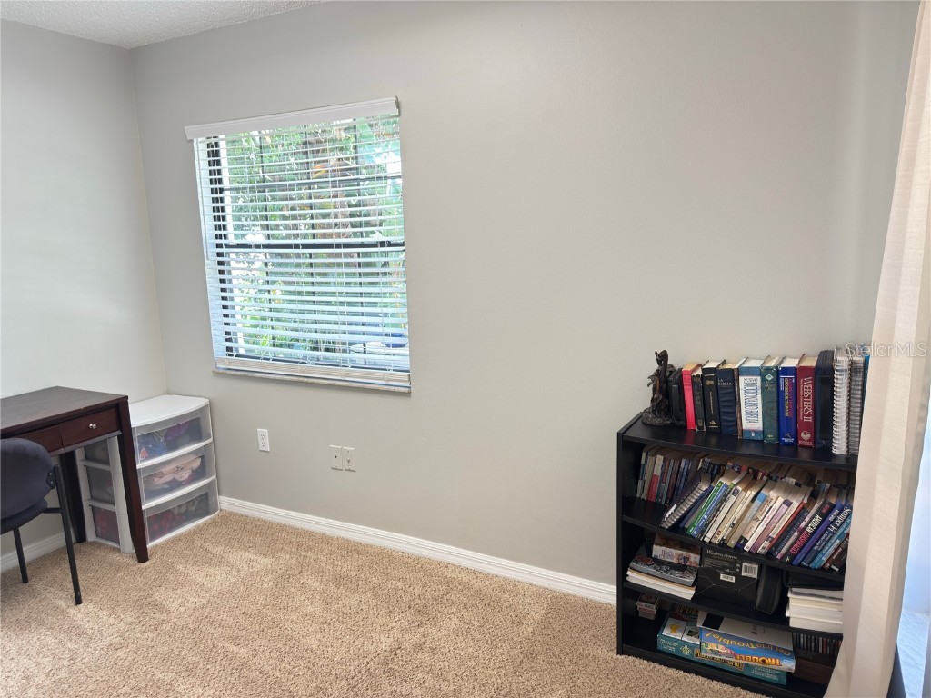 2969 Carrot Wood Court Kissimmee FL 34746 S5132486 image21