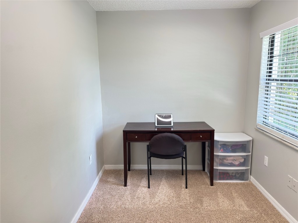 2969 Carrot Wood Court Kissimmee FL 34746 S5132486 image22