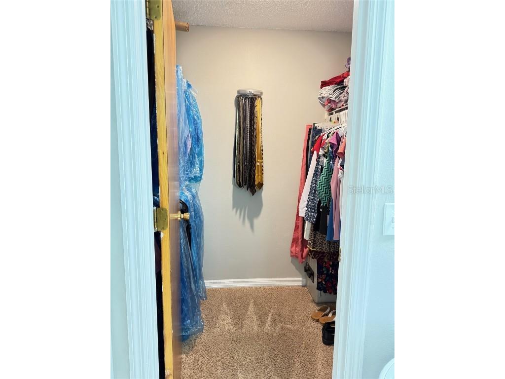 2969 Carrot Wood Court Kissimmee FL 34746 S5132486 image28