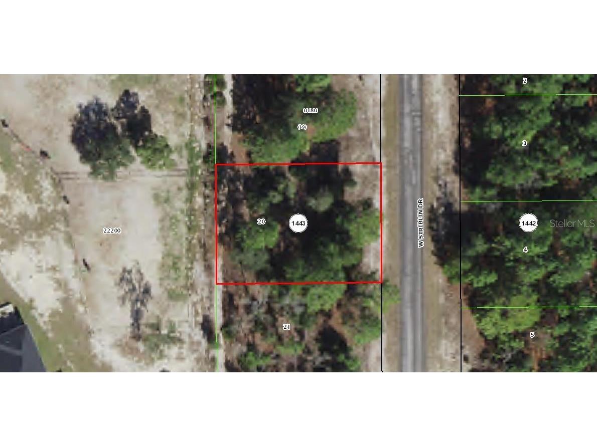 2969 W Striblin Drive Citrus Springs FL 34433 W7852719 image1