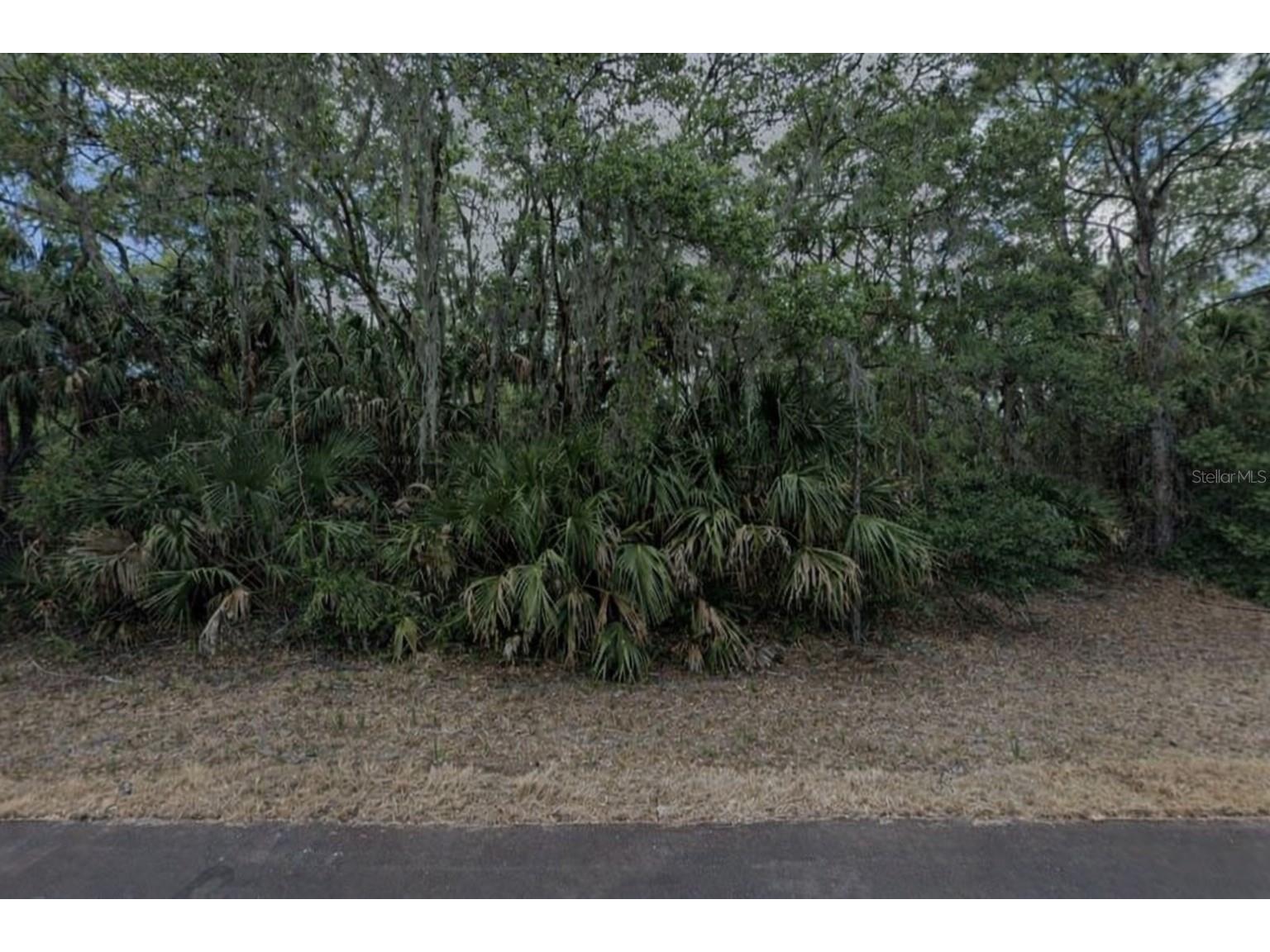 297 Biltmore Street Port Charlotte FL 33953 C7520086 image3