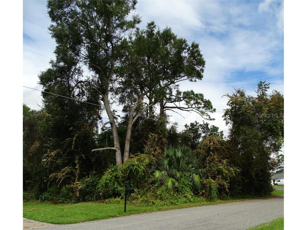 297 Deleon Road Debary FL 32713 V4932013 image1