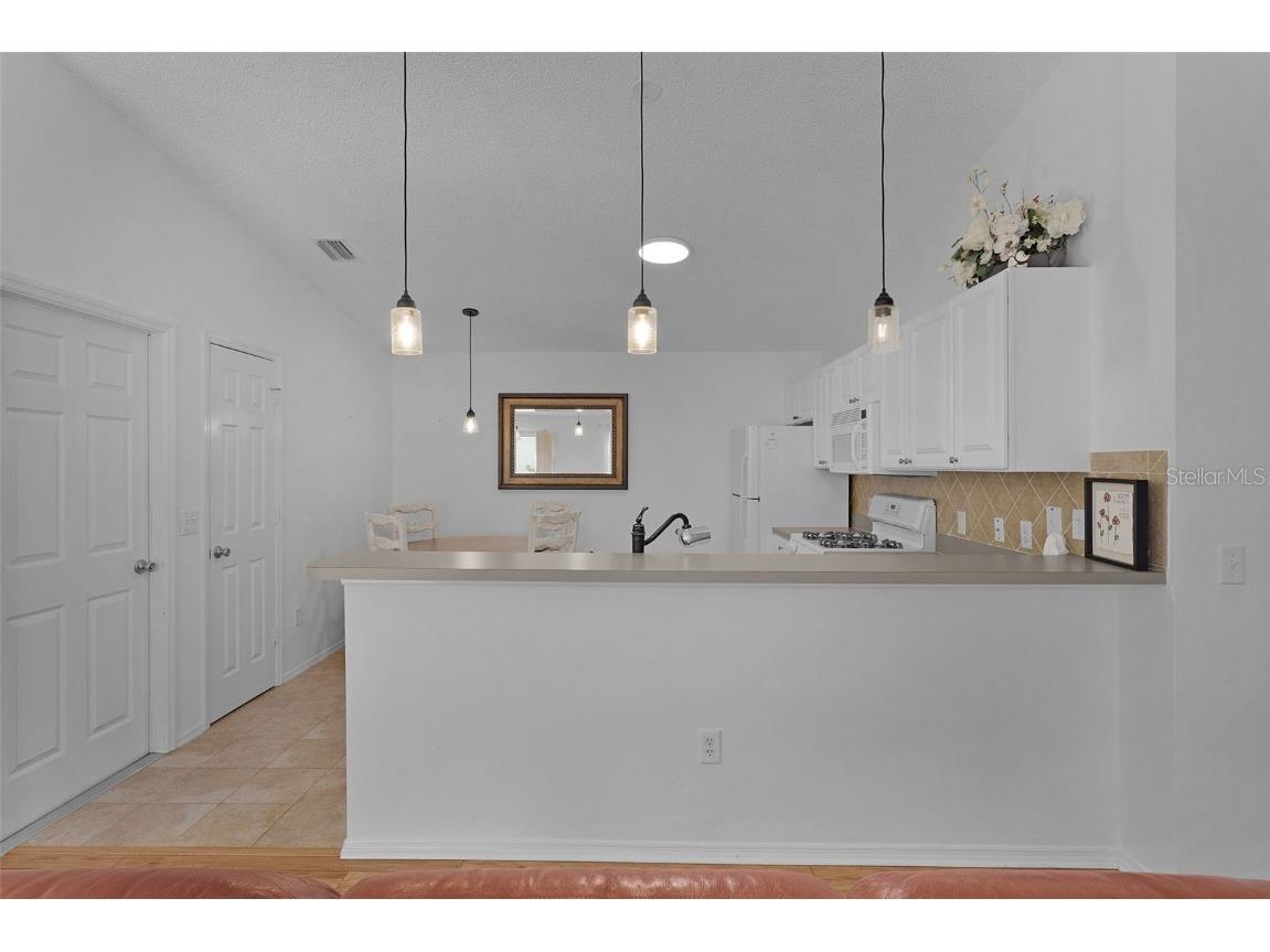 297 Emmalee Place The Villages FL 32162 G5103223 image13