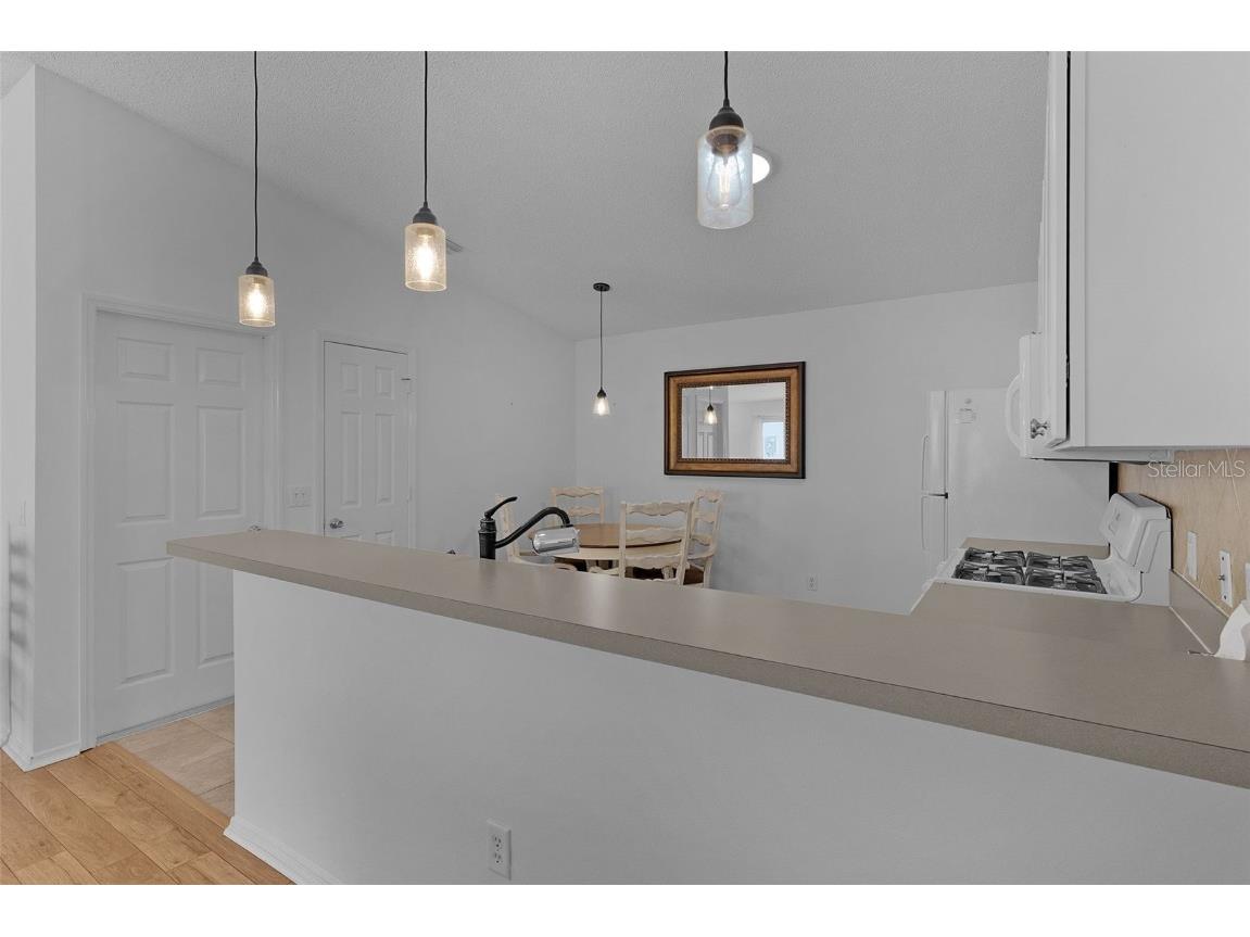 297 Emmalee Place The Villages FL 32162 G5103223 image14