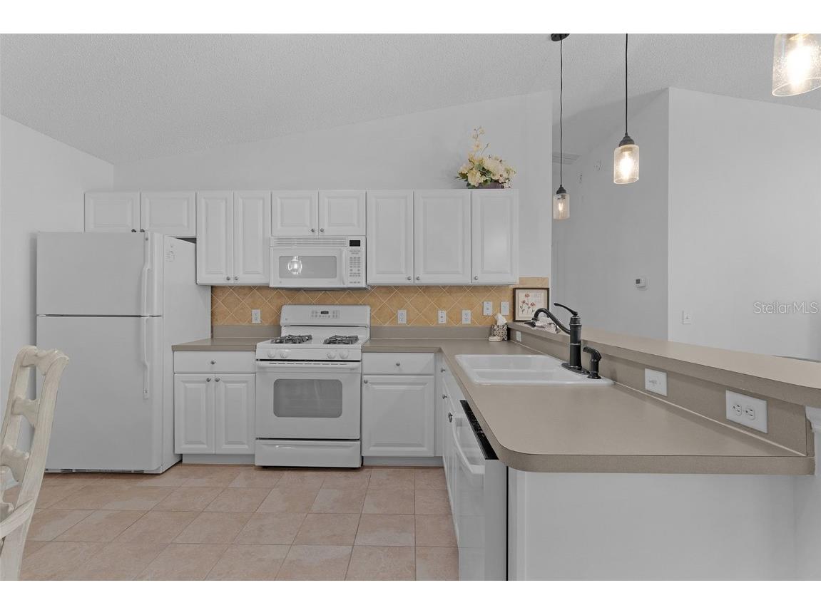 297 Emmalee Place The Villages FL 32162 G5103223 image15