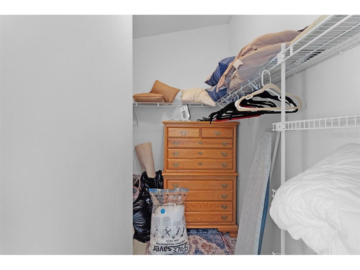 297 Emmalee Place The Villages FL 32162 G5103223 image21