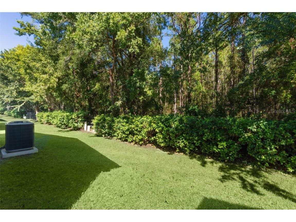 297 Emmalee Place The Villages FL 32162 G5103223 image28