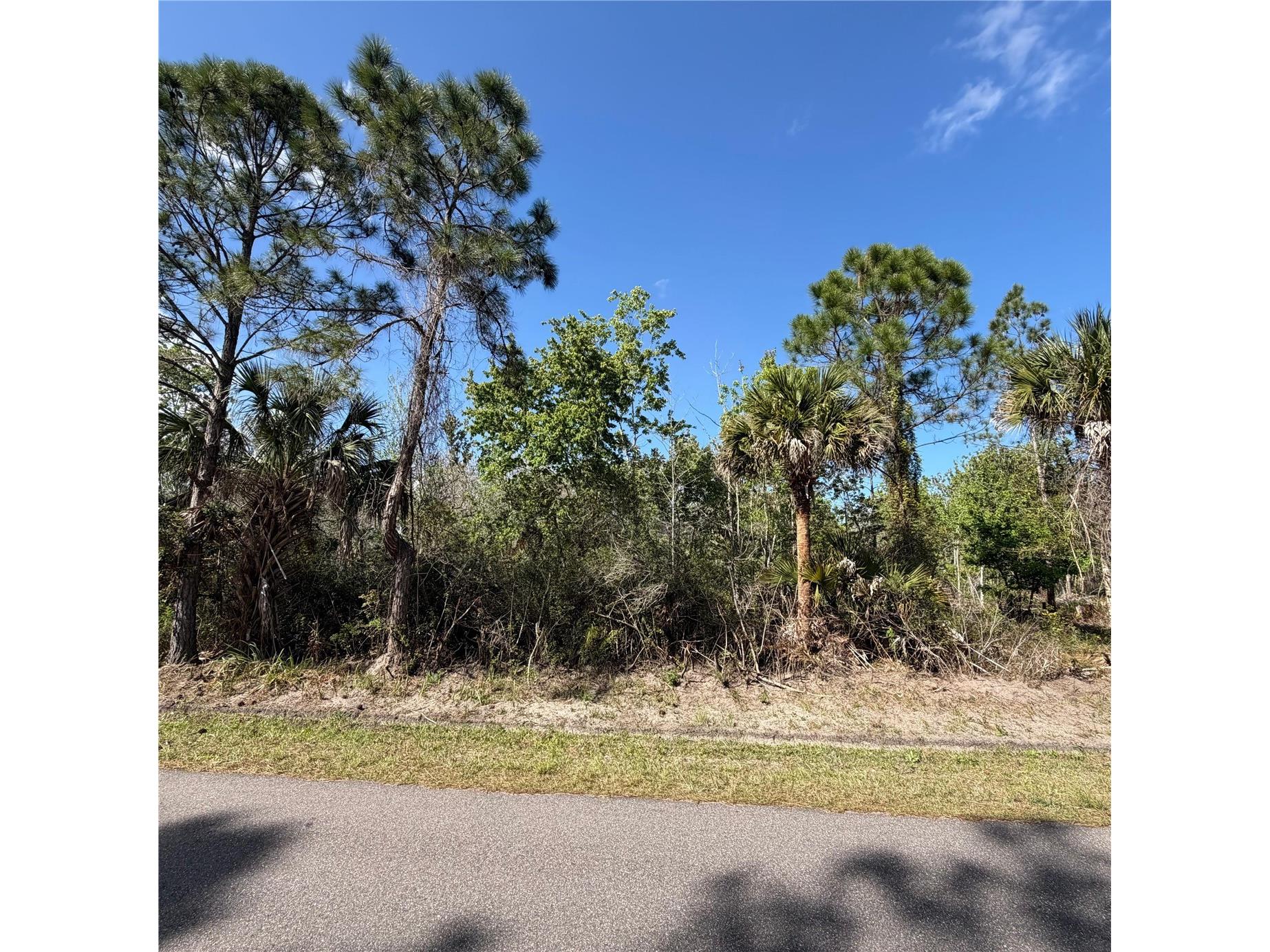 297 Frazer Street SW Palm Bay FL 32908 O6389927 image1