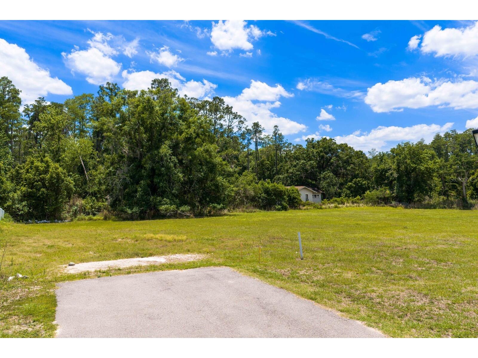 297 Magnolia Acres Court Lutz FL 33548 TB8505405 image10