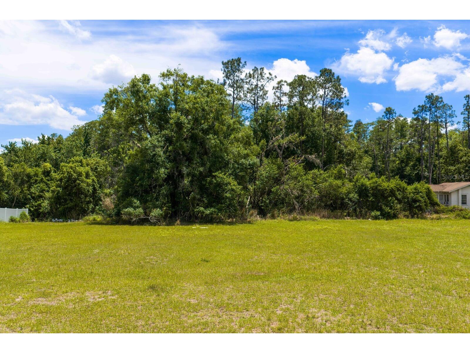 297 Magnolia Acres Court Lutz FL 33548 TB8505405 image11