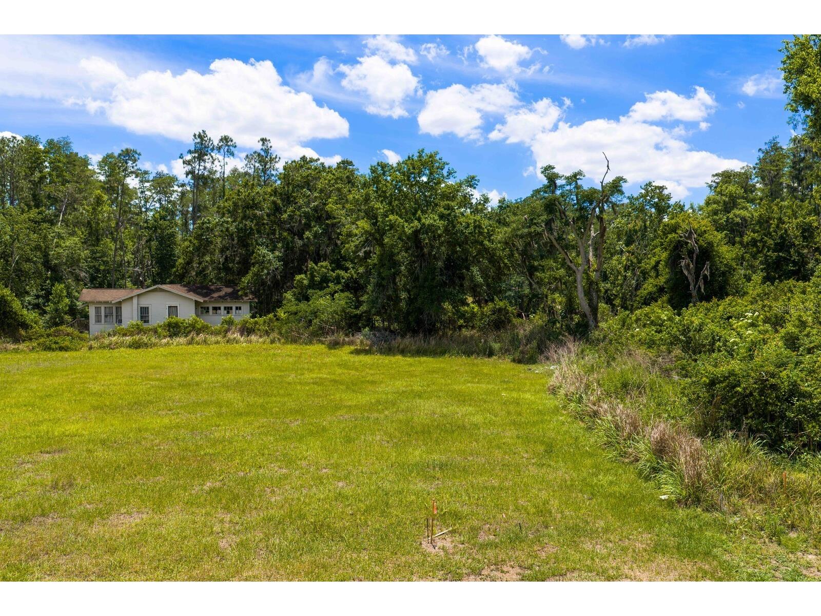 297 Magnolia Acres Court Lutz FL 33548 TB8505405 image12