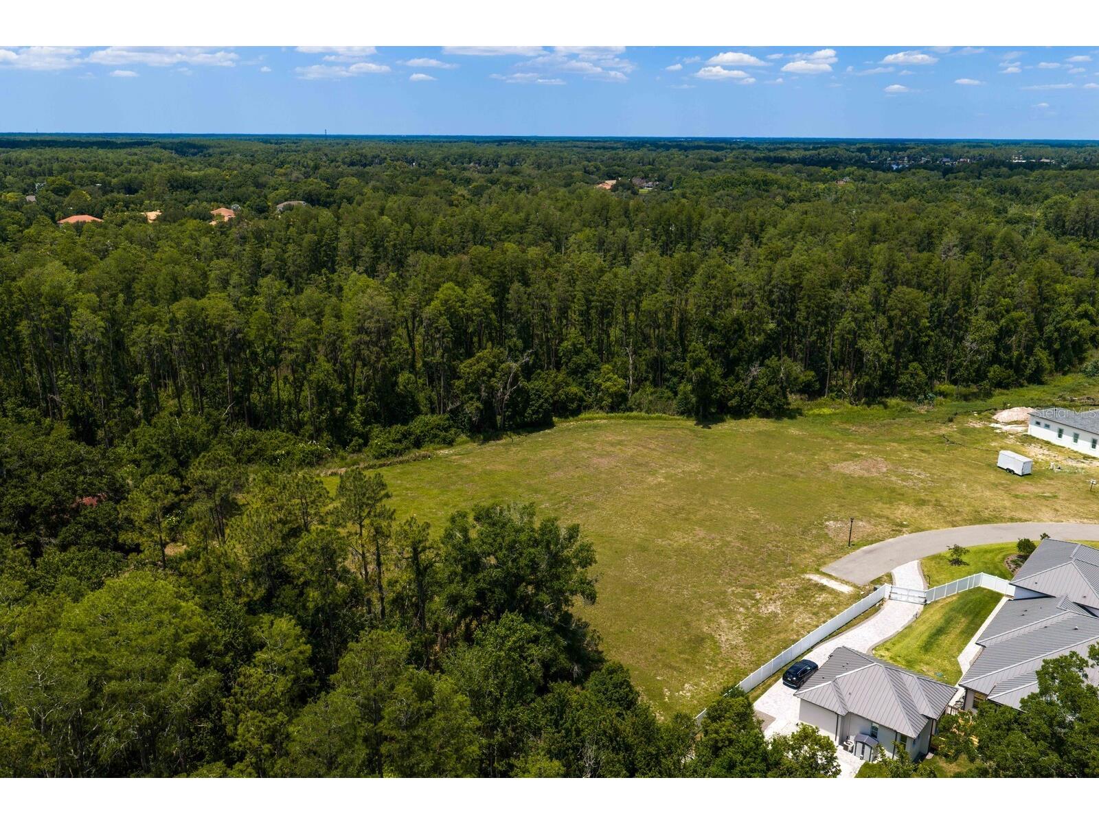 297 Magnolia Acres Court Lutz FL 33548 TB8505405 image20