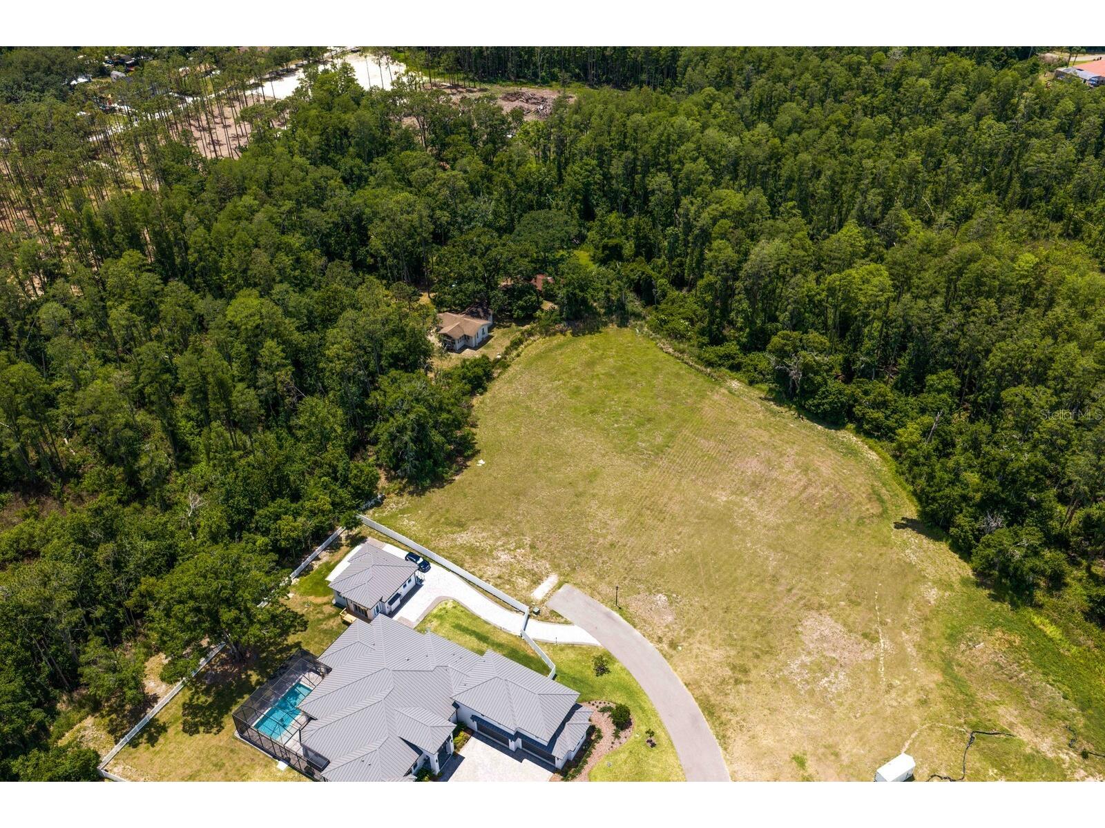 297 Magnolia Acres Court Lutz FL 33548 TB8505405 image38
