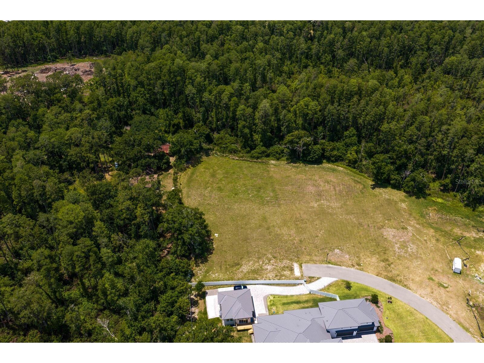 297 Magnolia Acres Court Lutz FL 33548 TB8505405 image39