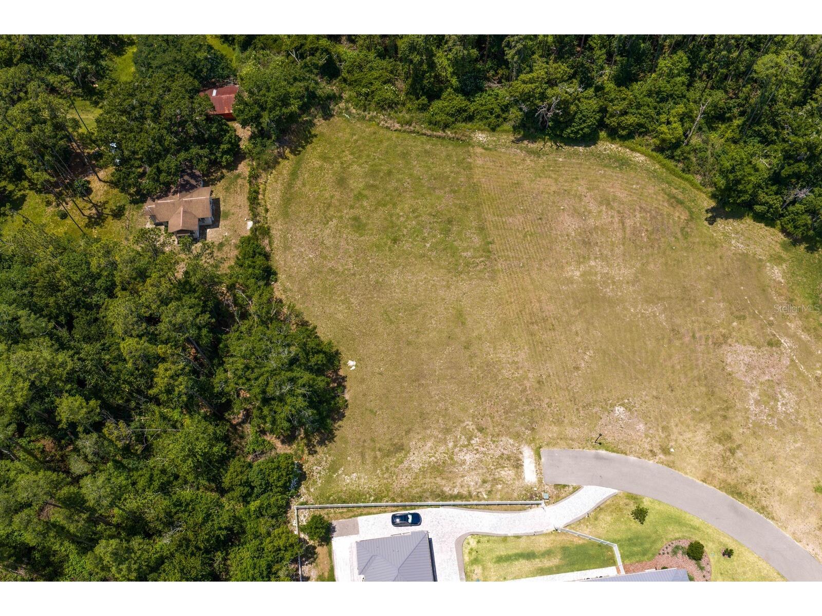 297 Magnolia Acres Court Lutz FL 33548 TB8505405 image40