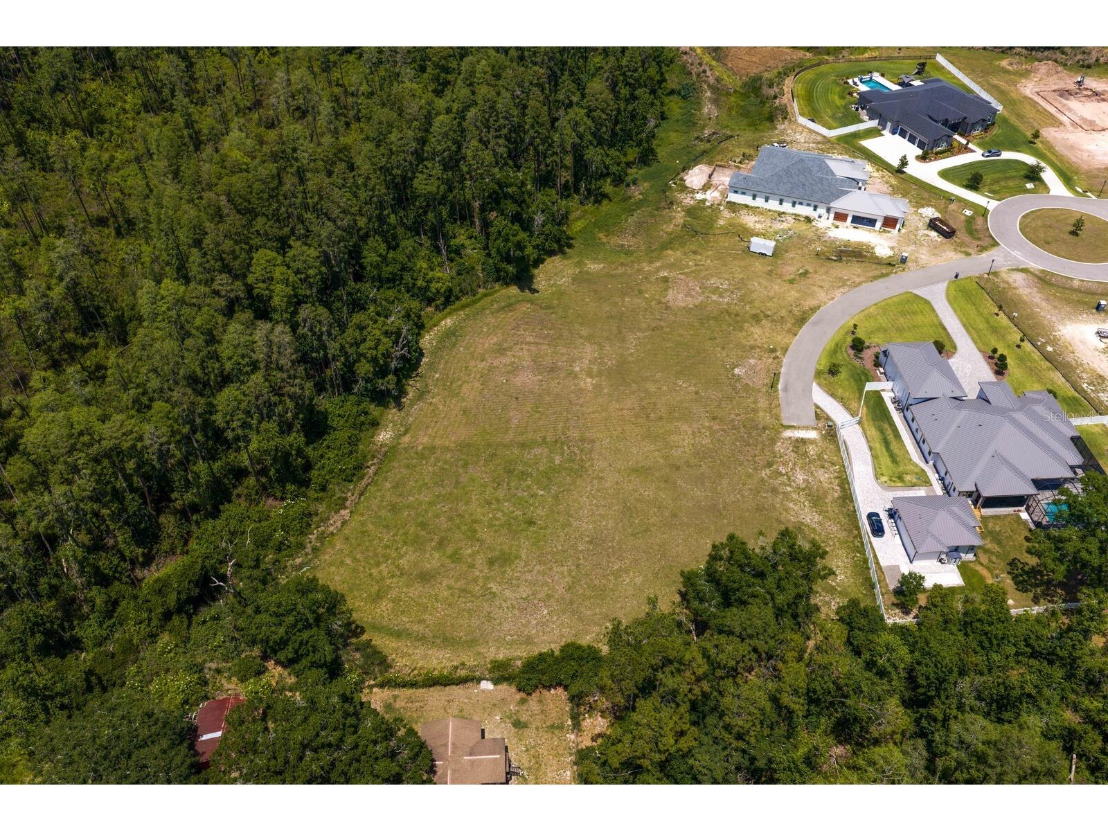297 Magnolia Acres Court Lutz FL 33548 TB8505405 image42