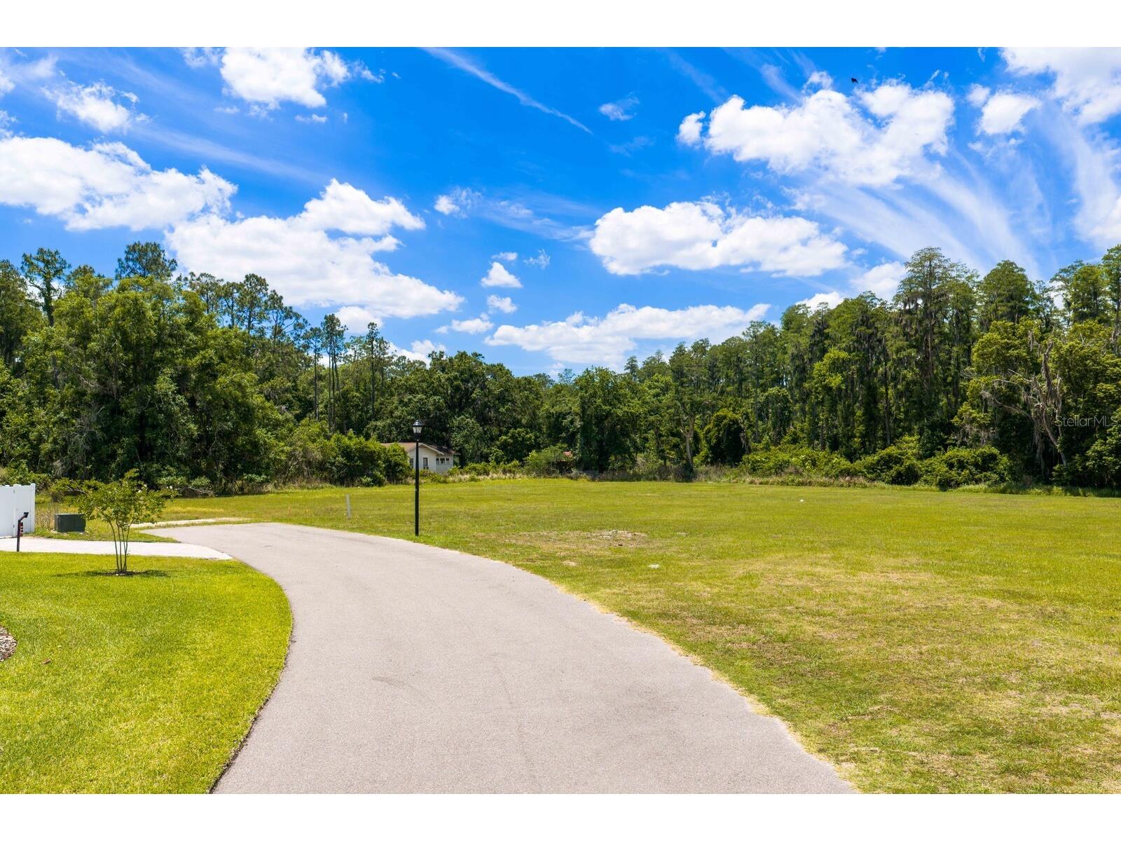 297 Magnolia Acres Court Lutz FL 33548 TB8505405 image9