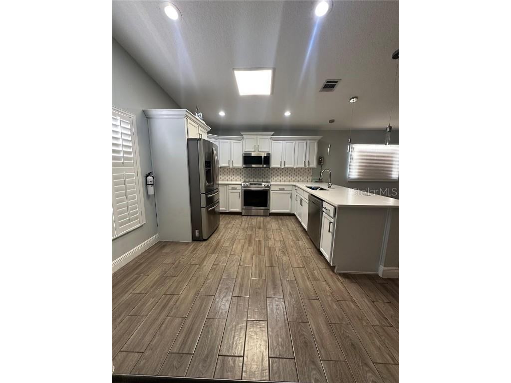 2970 Woolridge Drive Orlando FL 32837 S5137128 image2