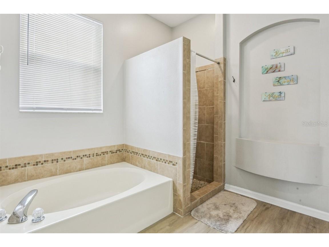 29704 Eagle Station Drive Wesley Chapel FL 33543 TB8446968 image16