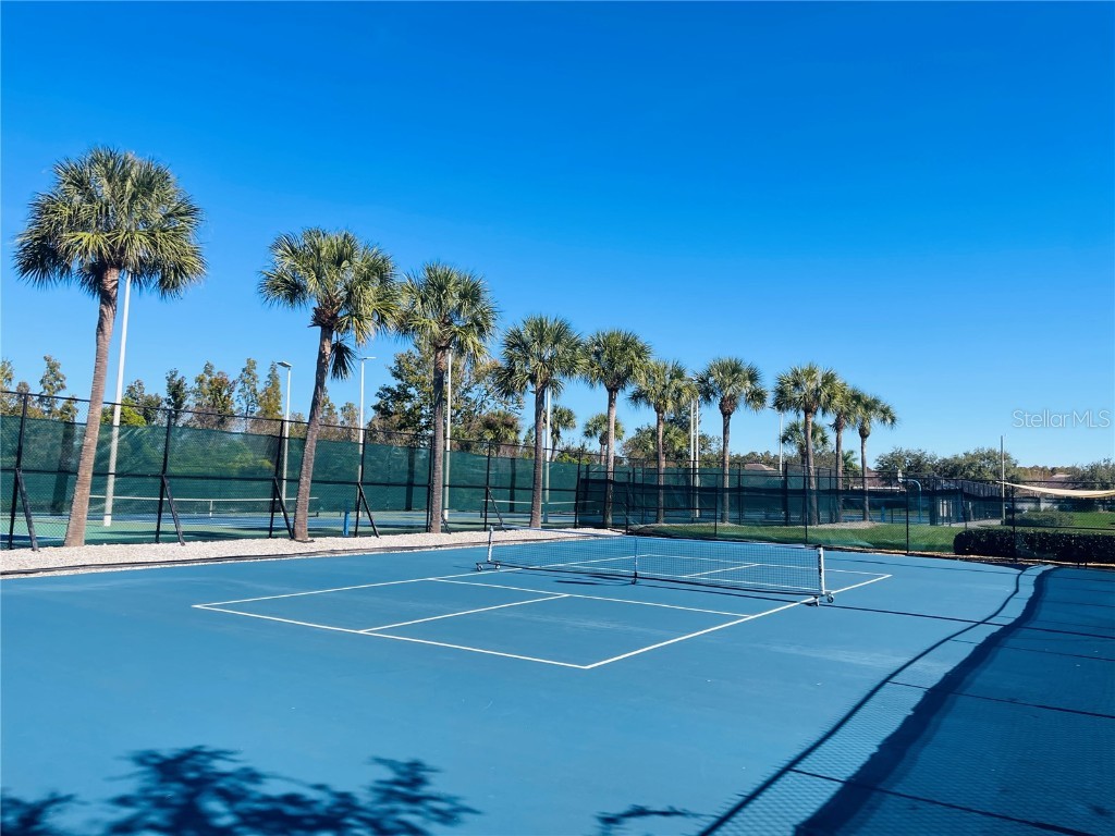 29704 Eagle Station Drive Wesley Chapel FL 33543 TB8446968 image27