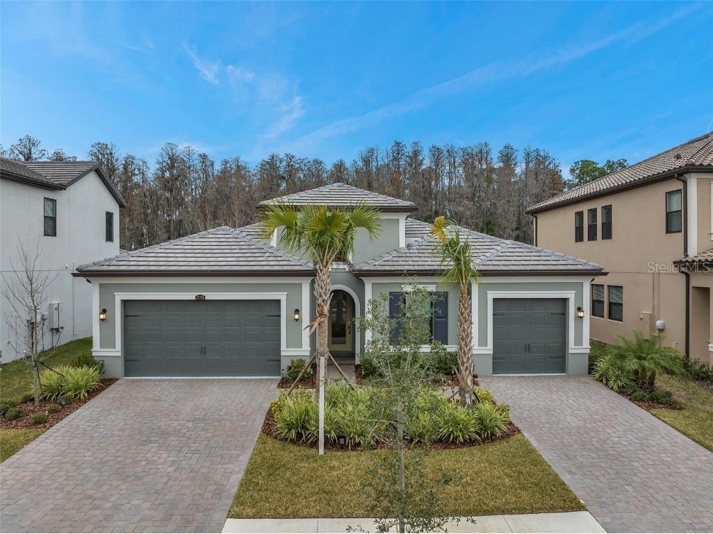 29704 Picana Lane Wesley Chapel FL 33543 T3499591 image1