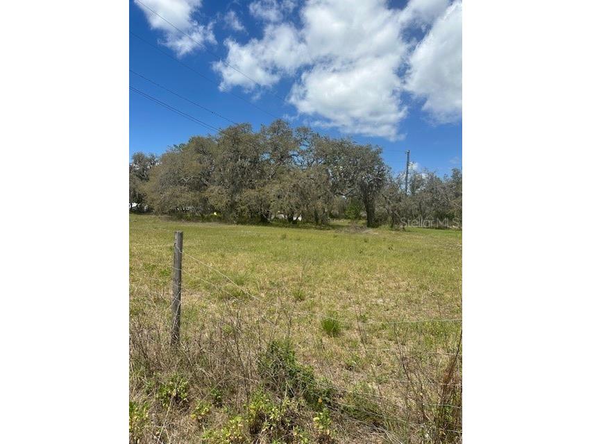 29707 Cooper Road Wesley Chapel FL 33545 TB8451252 image2