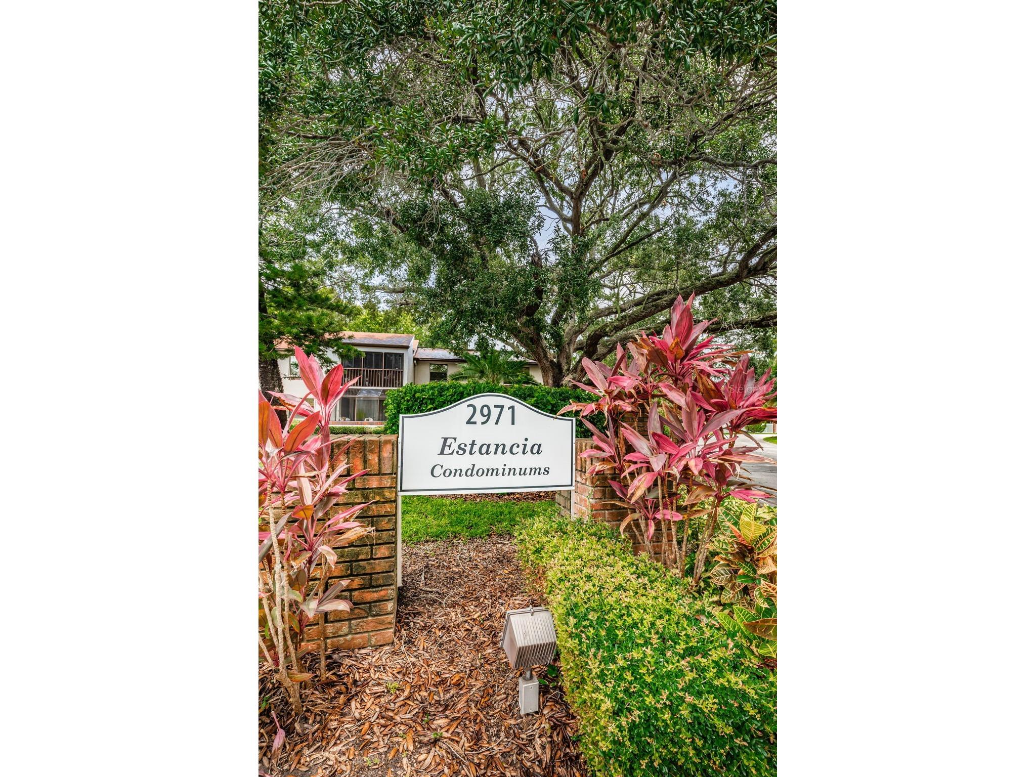 2971 Estancia Boulevard #412 Clearwater FL 33761 TB8518158 image17