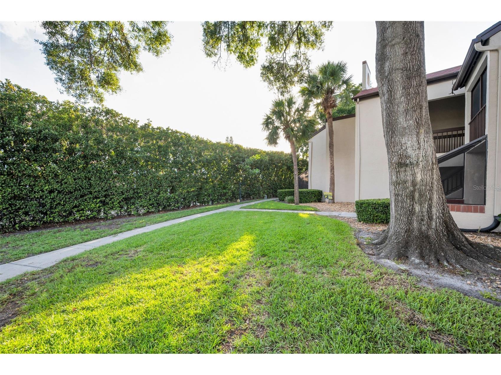 2971 Estancia Boulevard #412 Clearwater FL 33761 TB8518158 image7