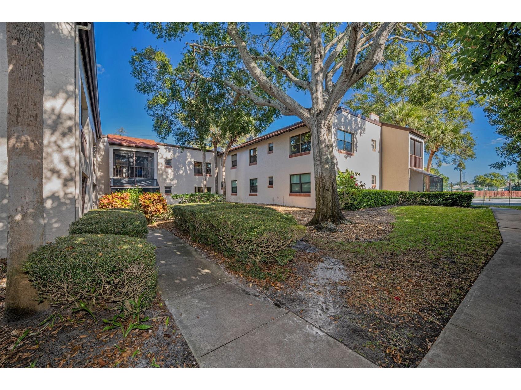 2971 Estancia Boulevard #418 Clearwater FL 33761 TB8457687 image1