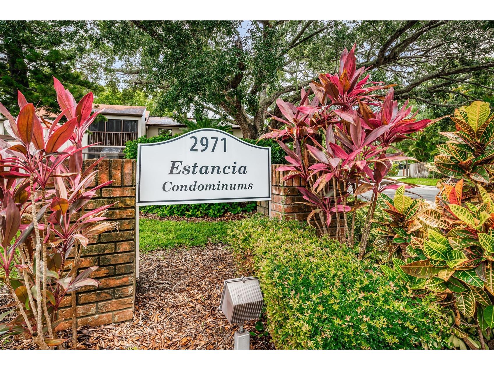 2971 Estancia Boulevard #418 Clearwater FL 33761 TB8457687 image33