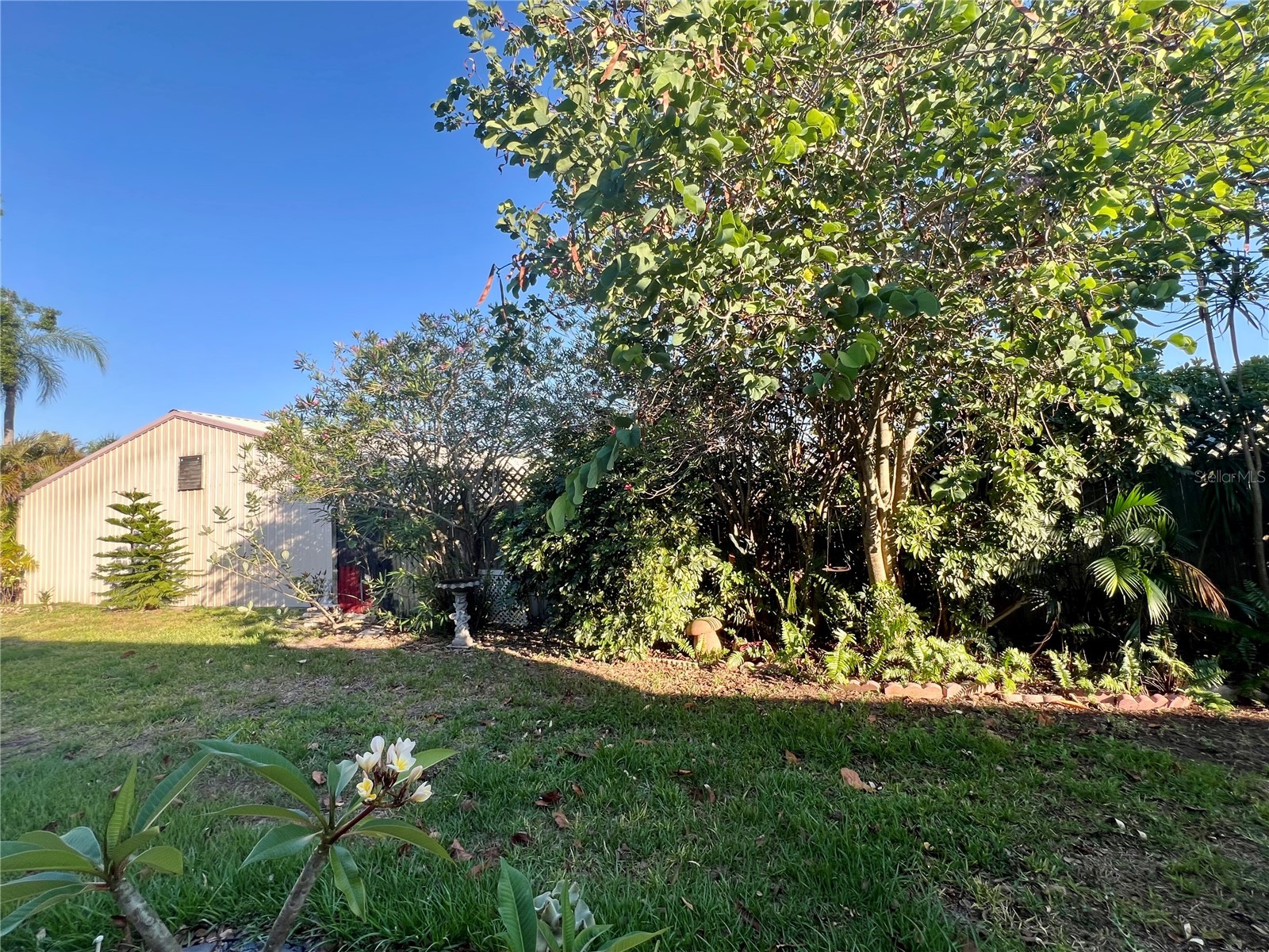 2971 Mission Drive E #54F Clearwater FL 33759 TB8508960 image15