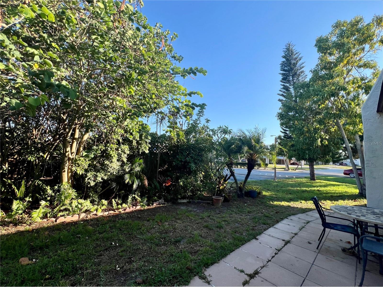 2971 Mission Drive E #54F Clearwater FL 33759 TB8508960 image16