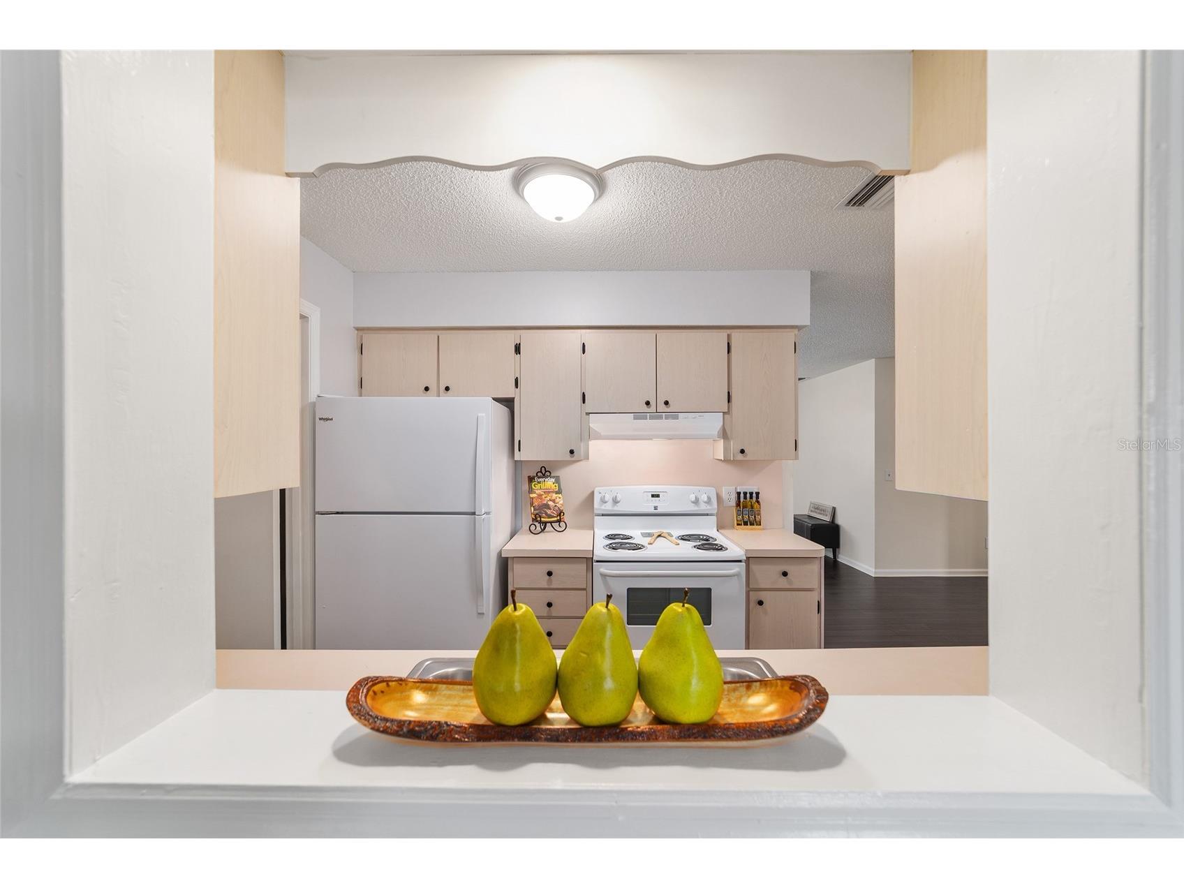 2971 NE 35th Place Ocala FL 34479 OM719263 image22