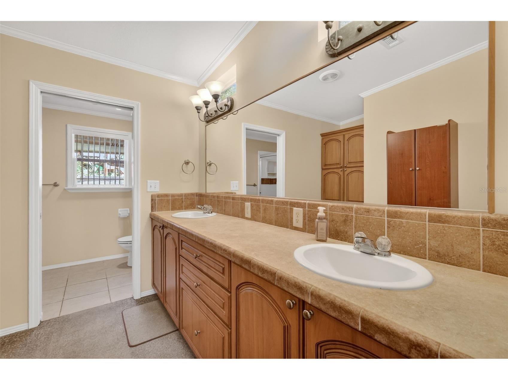 29714 SE Highway 42 Umatilla FL 32784 G5107771 image19