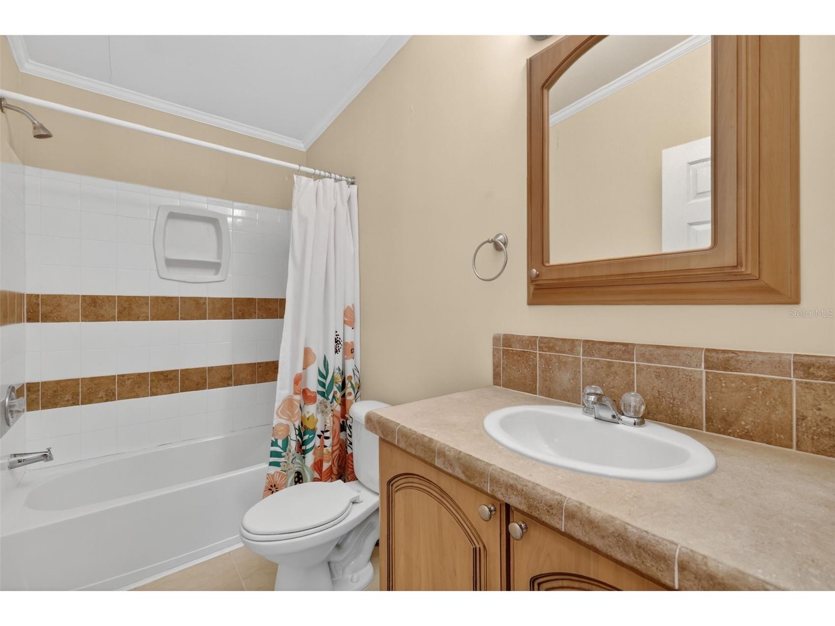 29714 SE Highway 42 Umatilla FL 32784 G5107771 image24