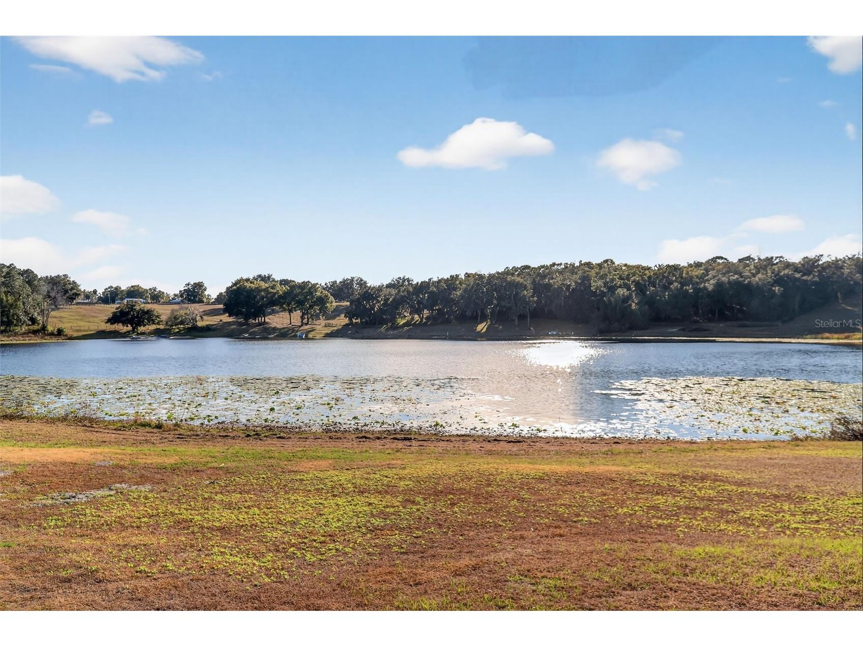 29714 SE Highway 42 Umatilla FL 32784 G5107771 image41