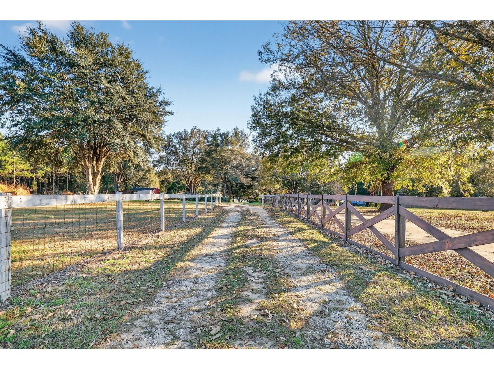 29714 SE Highway 42 Umatilla FL 32784 G5107771 image64