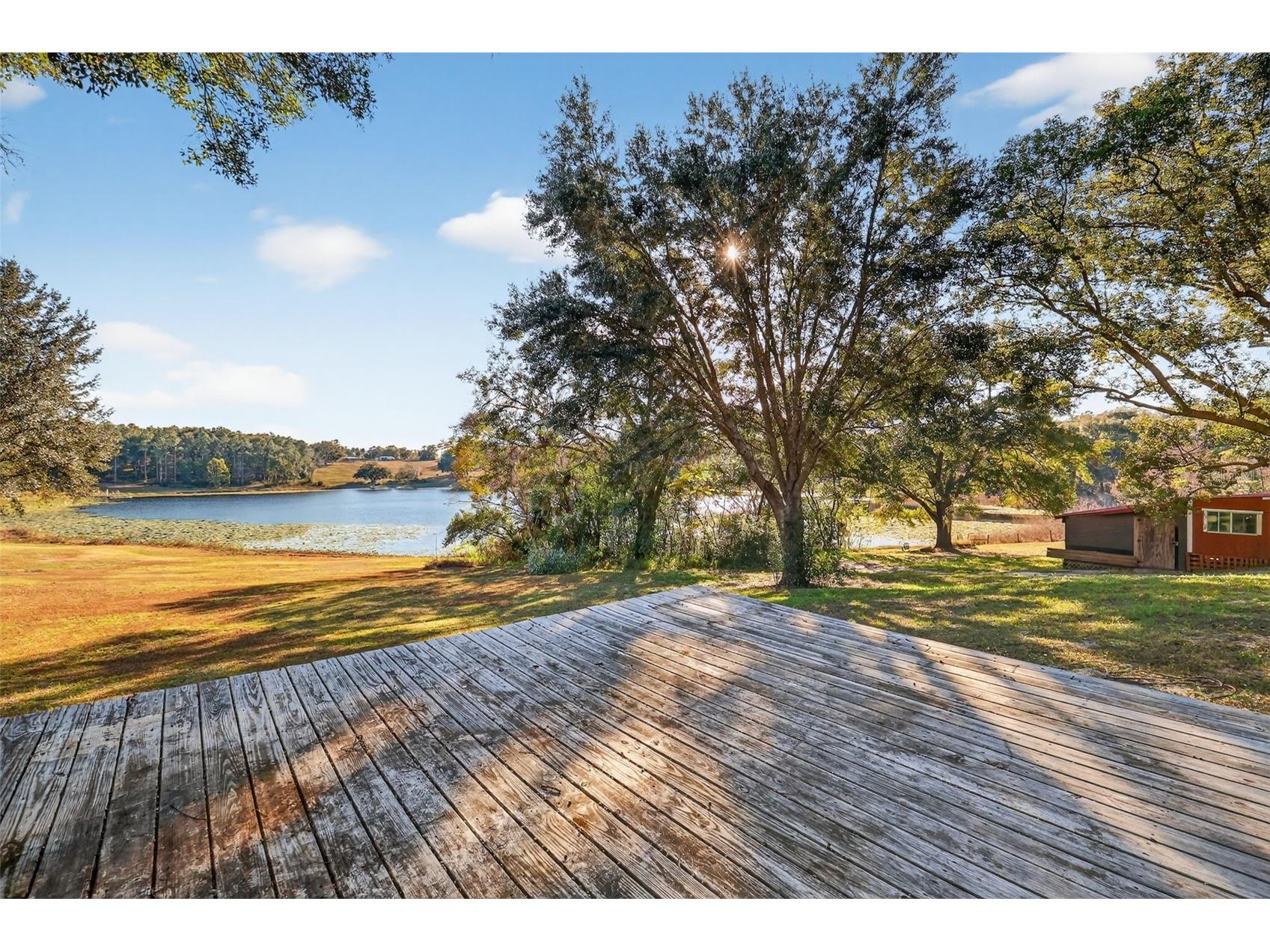 29714 SE Highway 42 Umatilla FL 32784 G5107771 image65