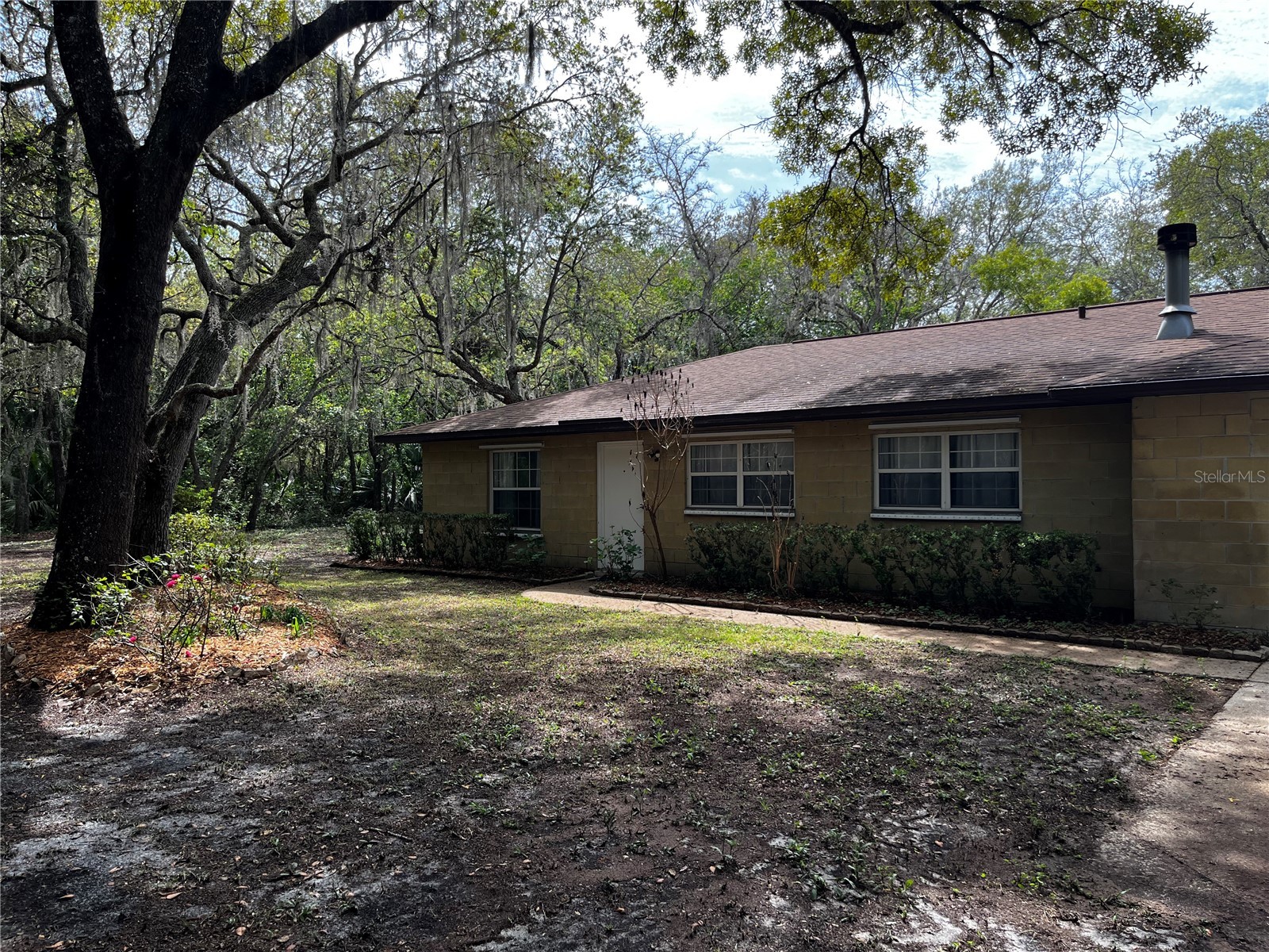 29716 Deerwood Farms Road Sorrento FL 32776 O6396475 image1