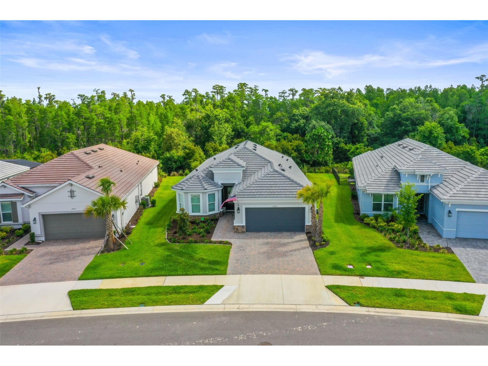 29719 Cassino Court Wesley Chapel FL 33543 TB8510873 image1