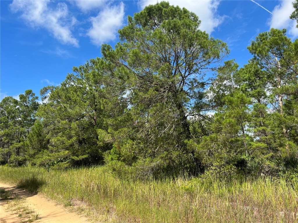 2972 W Rutland Road Avon Park FL 33825 O6061413 image1