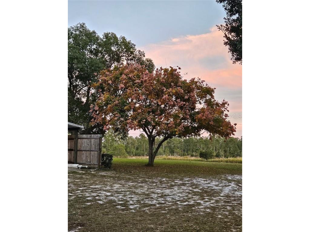 29723 Fullerville Road Deland FL 32720 G5105459 image39