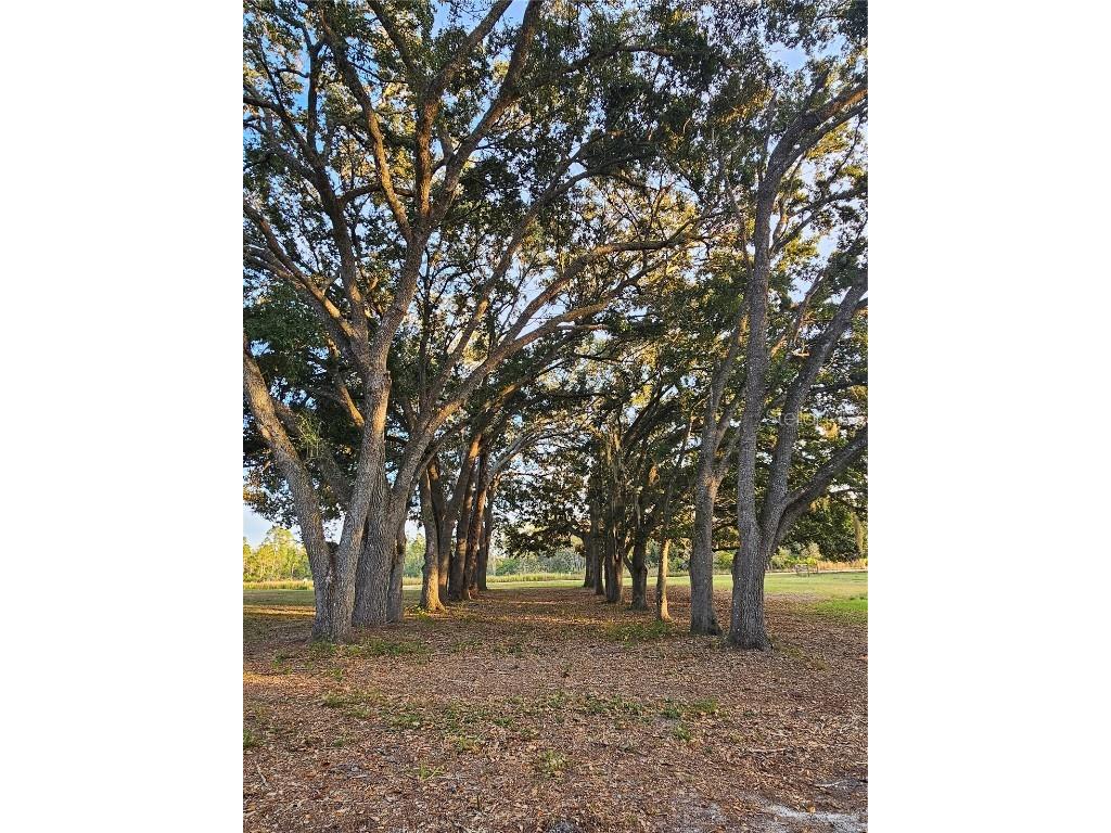 29723 Fullerville Road Deland FL 32720 G5105459 image40