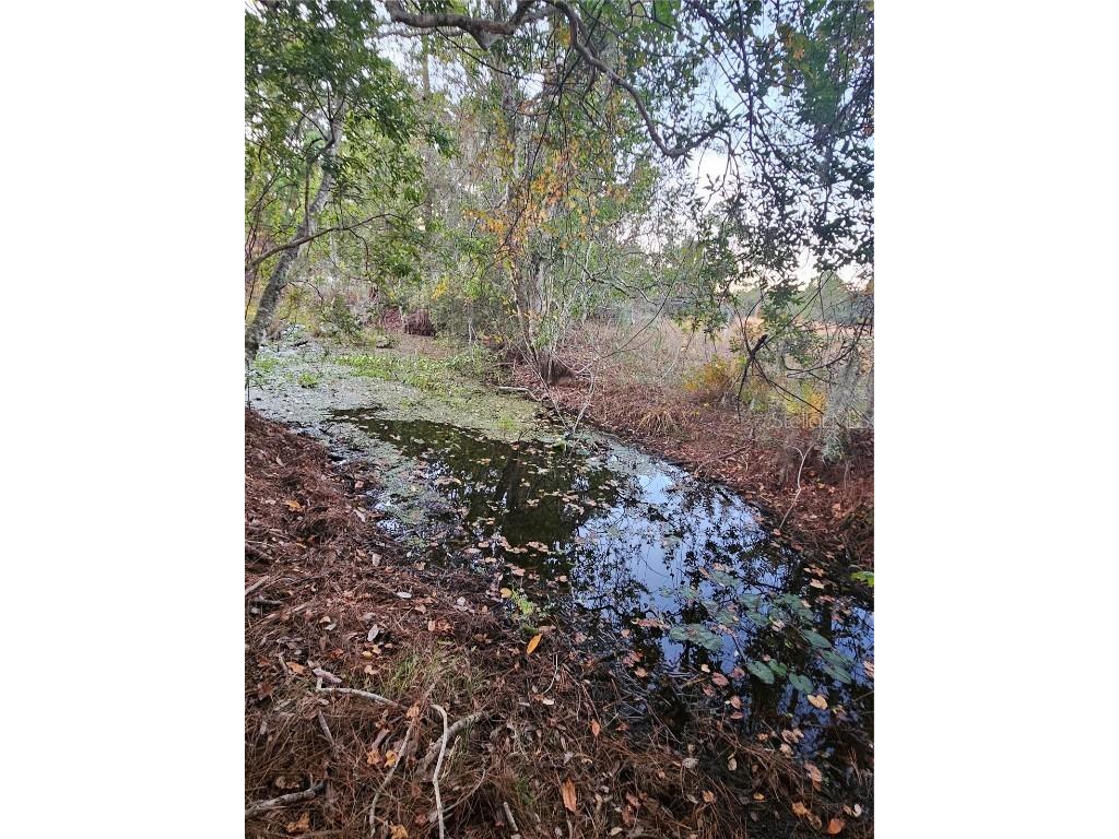 29723 Fullerville Road Deland FL 32720 G5105459 image48