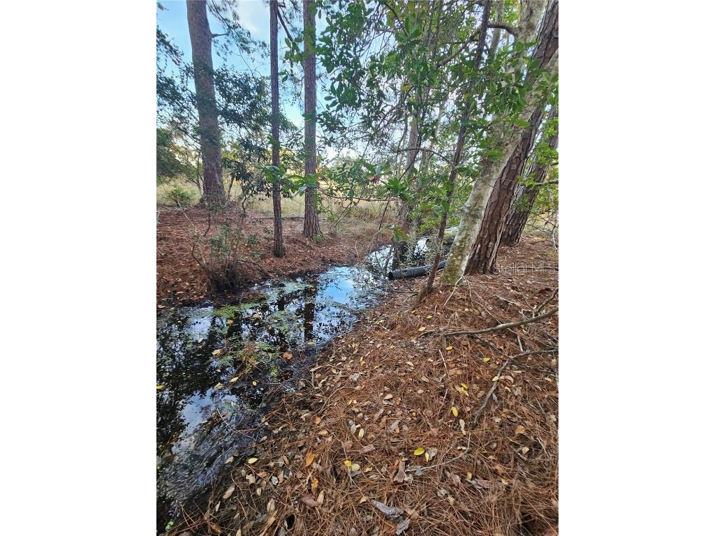 29723 Fullerville Road Deland FL 32720 G5105459 image49